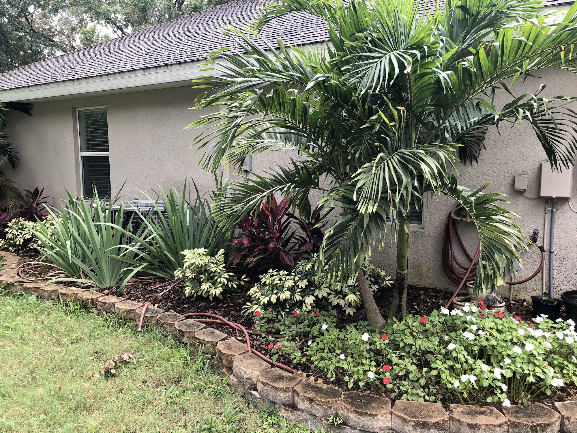 Landscaping Plant City