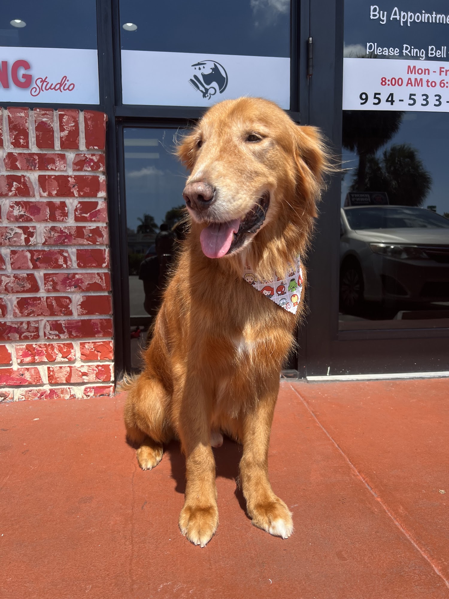 Nick's Grooming Studio Fort Lauderdale