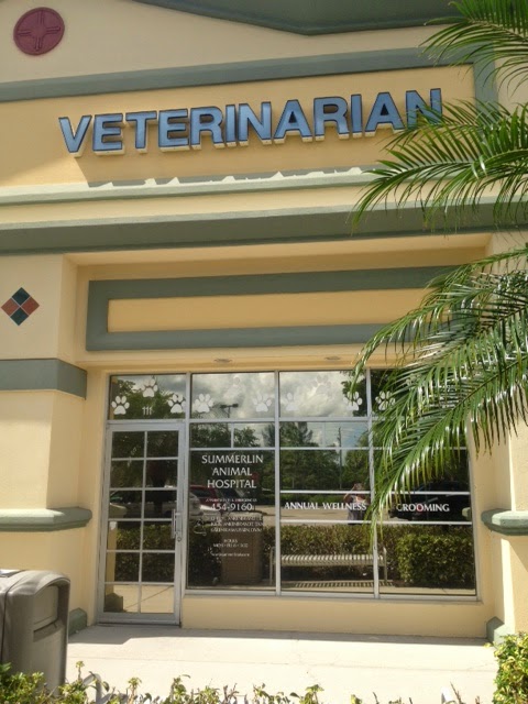 Summerlin Animal Hospital