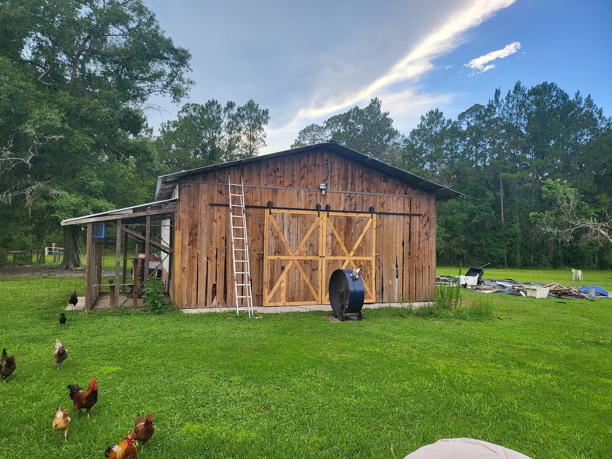 All Paws Pet Kennel Gainesville