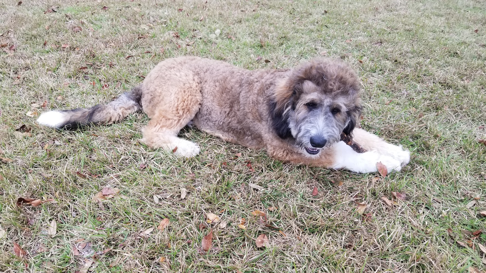 Bed-N-Biscuit Inn Inc High Springs