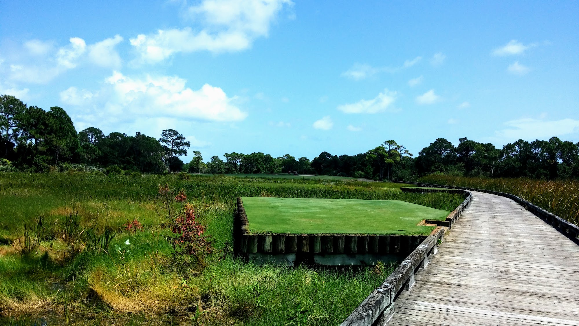 Medalist Golf Club 9908 SE Cottage Ln, Hobe Sound Florida 33455