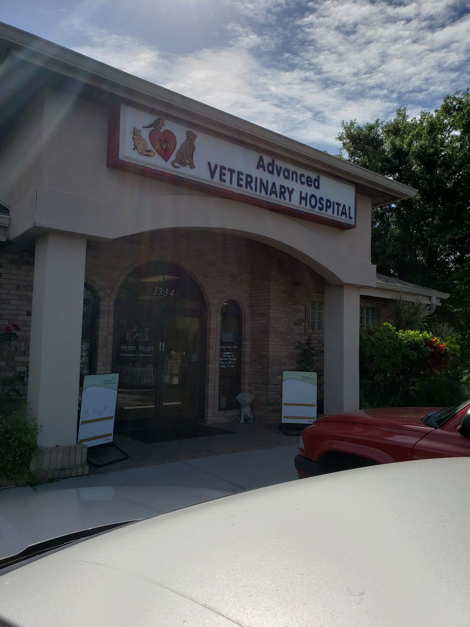 Advanced Veterinary Hospital: Dieter Scott DVM 1334 US Hwy 19 N, Holiday Florida 34691