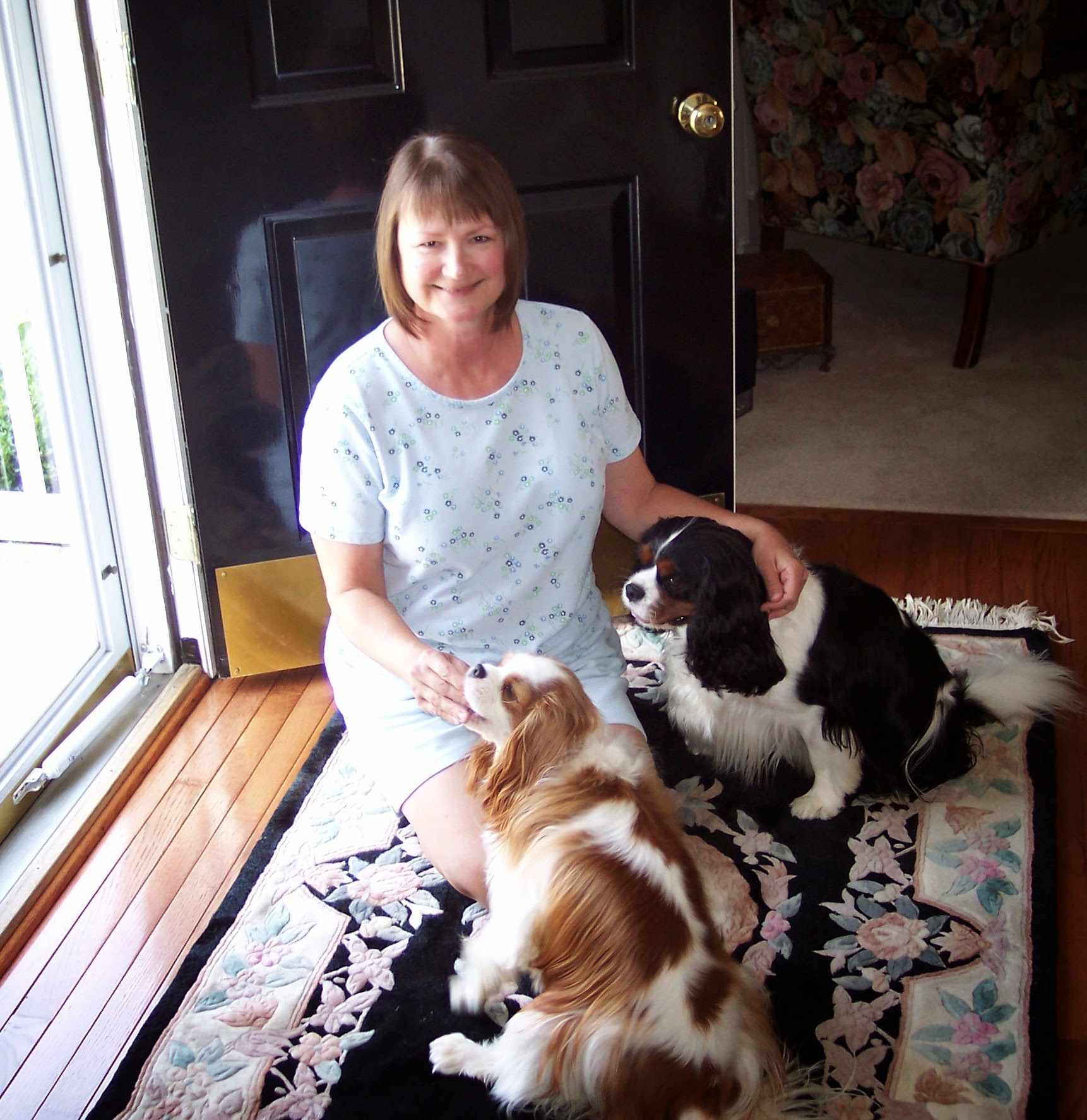 Play Pals - Pet Service Hudson