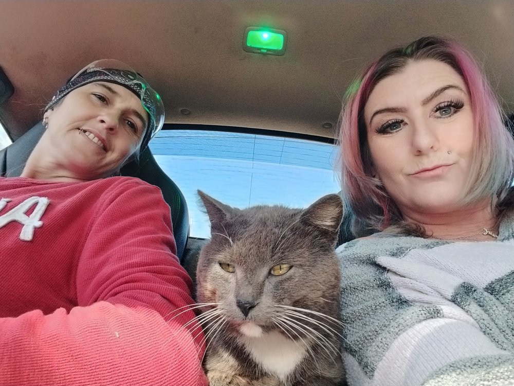 Animal Care and Protective Services Jacksonville