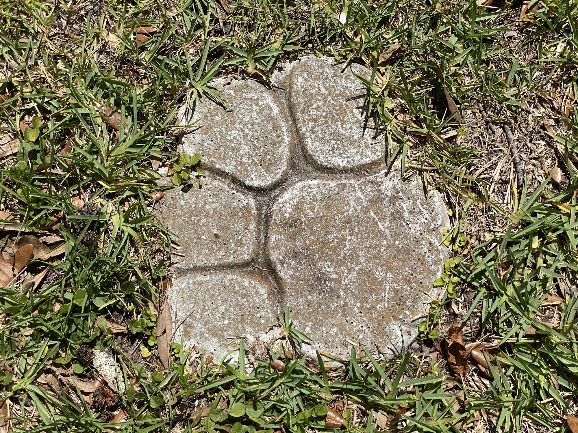 Pet Memorial Gardens Cemetery Jacksonville