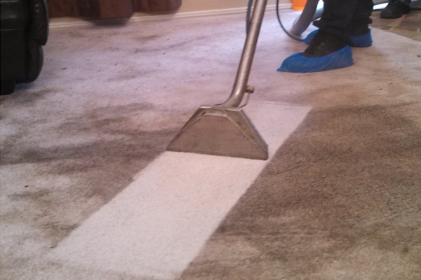 Professional Carpet & Air duct cleaning LLC