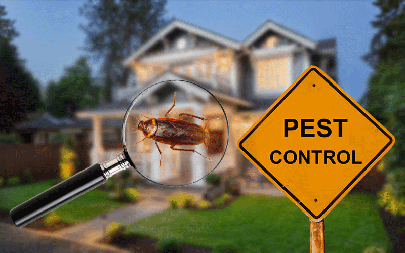 Near me Best Pest control 2834 Recker Hwy, Jan Phyl Village Florida 33880