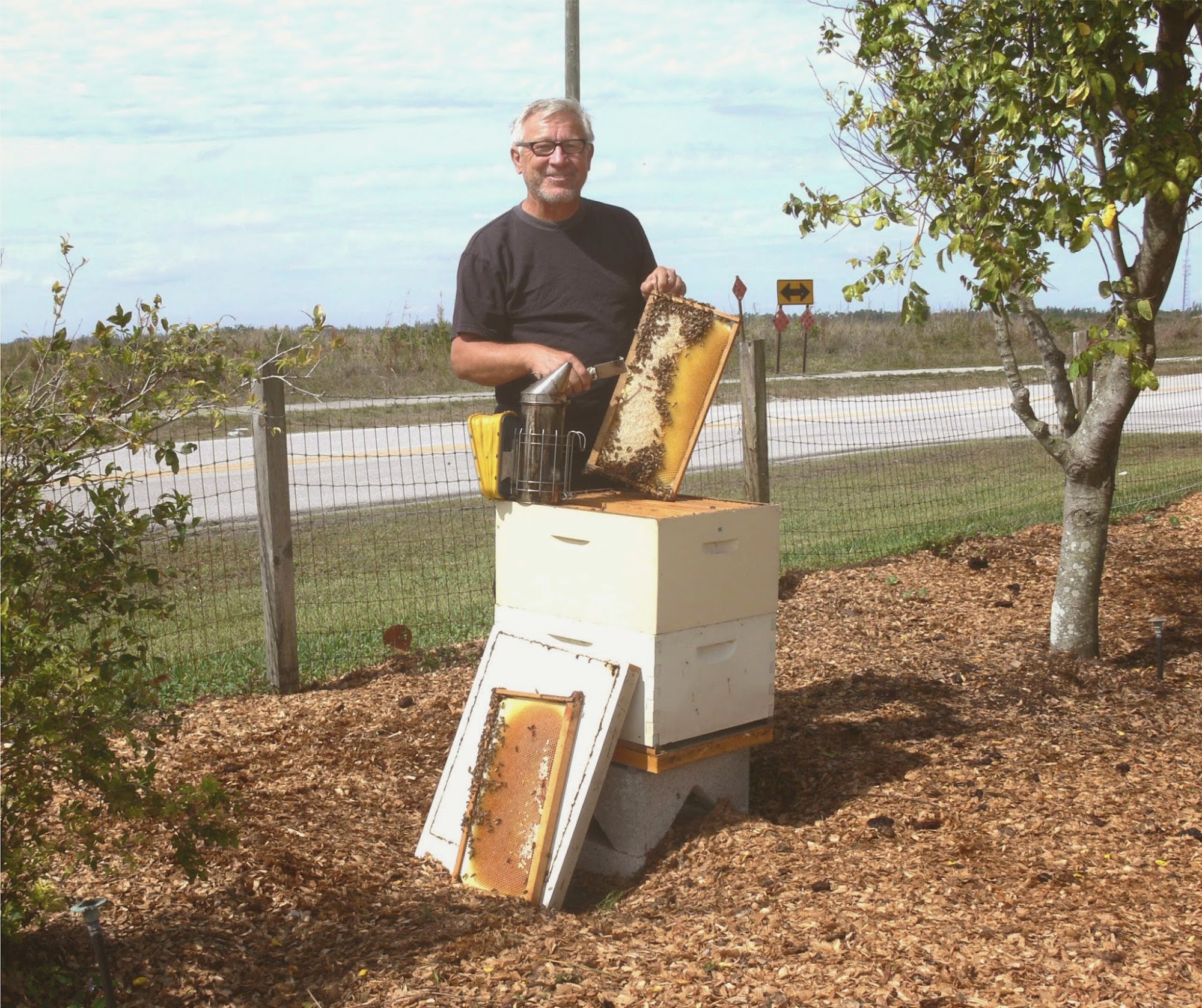 Jupiter Bee Removal