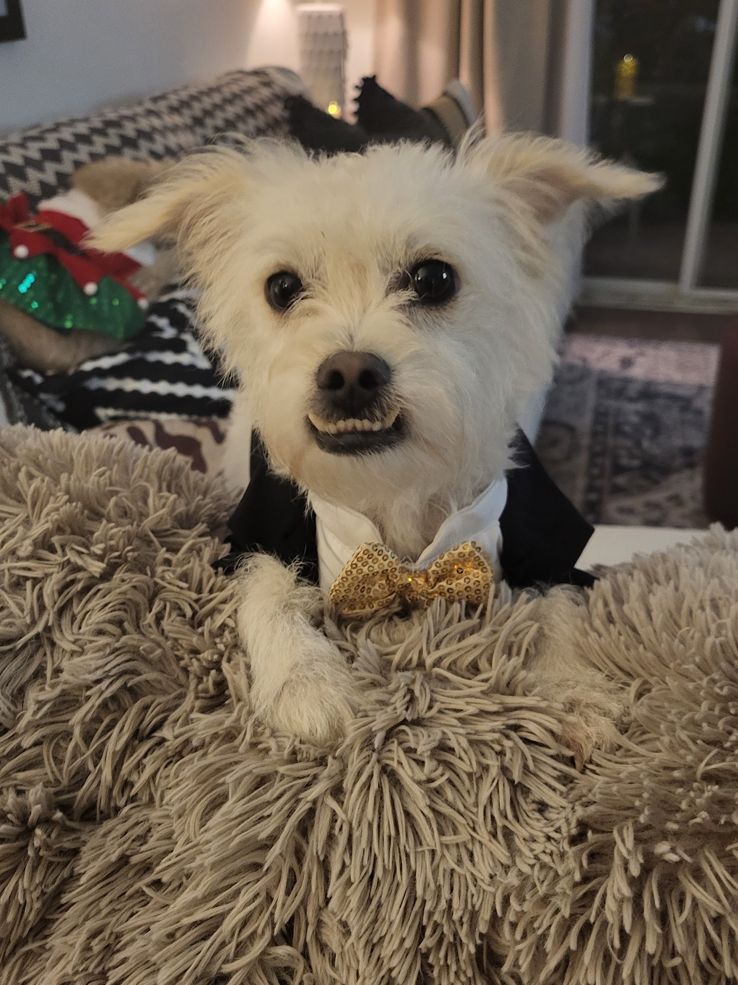 Upper Keys Humane Society Inc Key Largo