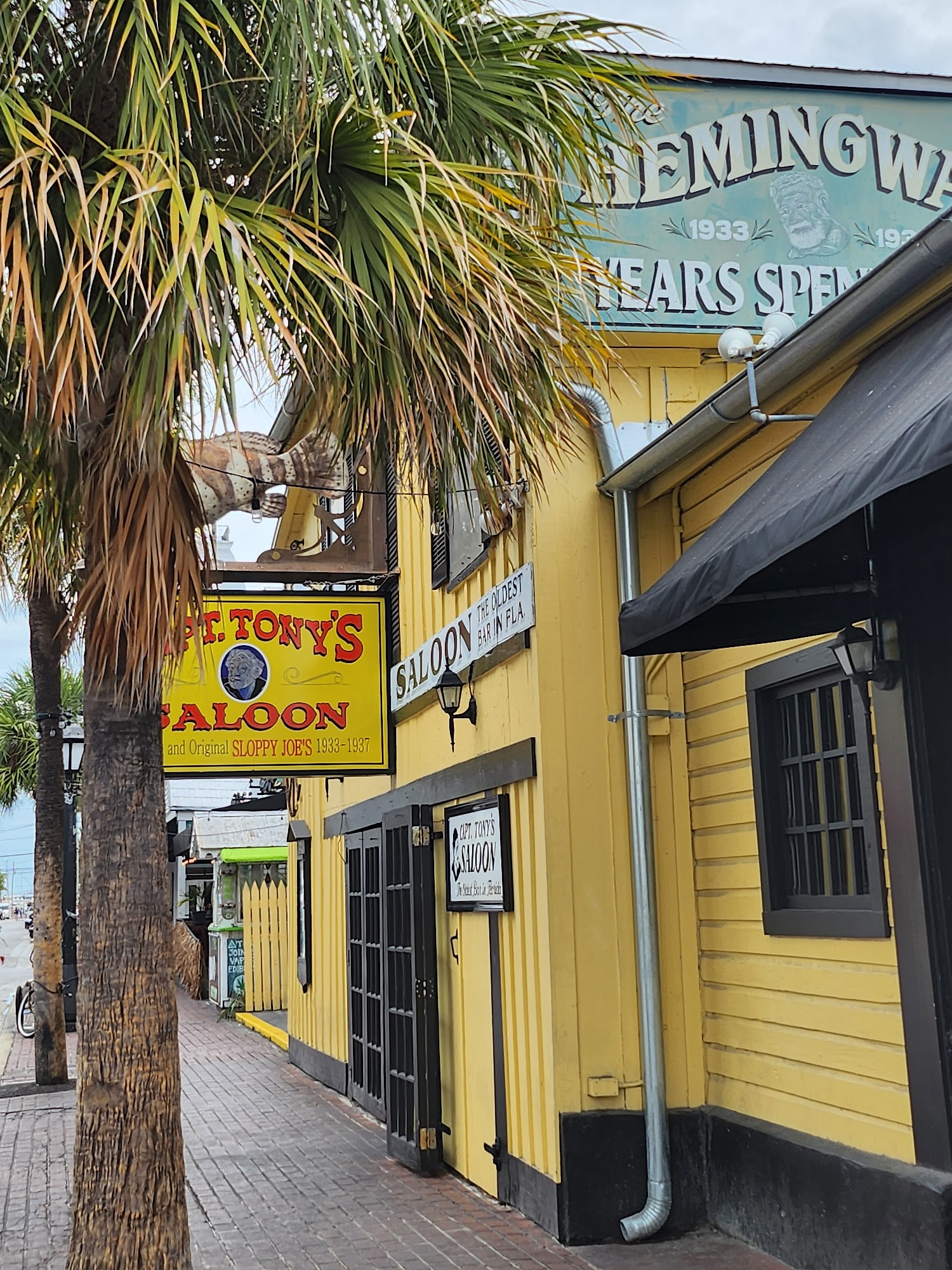 Key West Taco Dog Food Stand