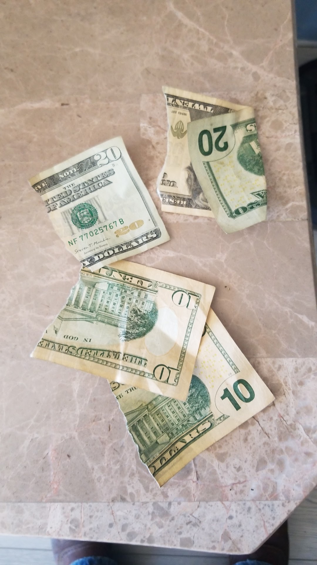 Mike's Gone To The Dog's