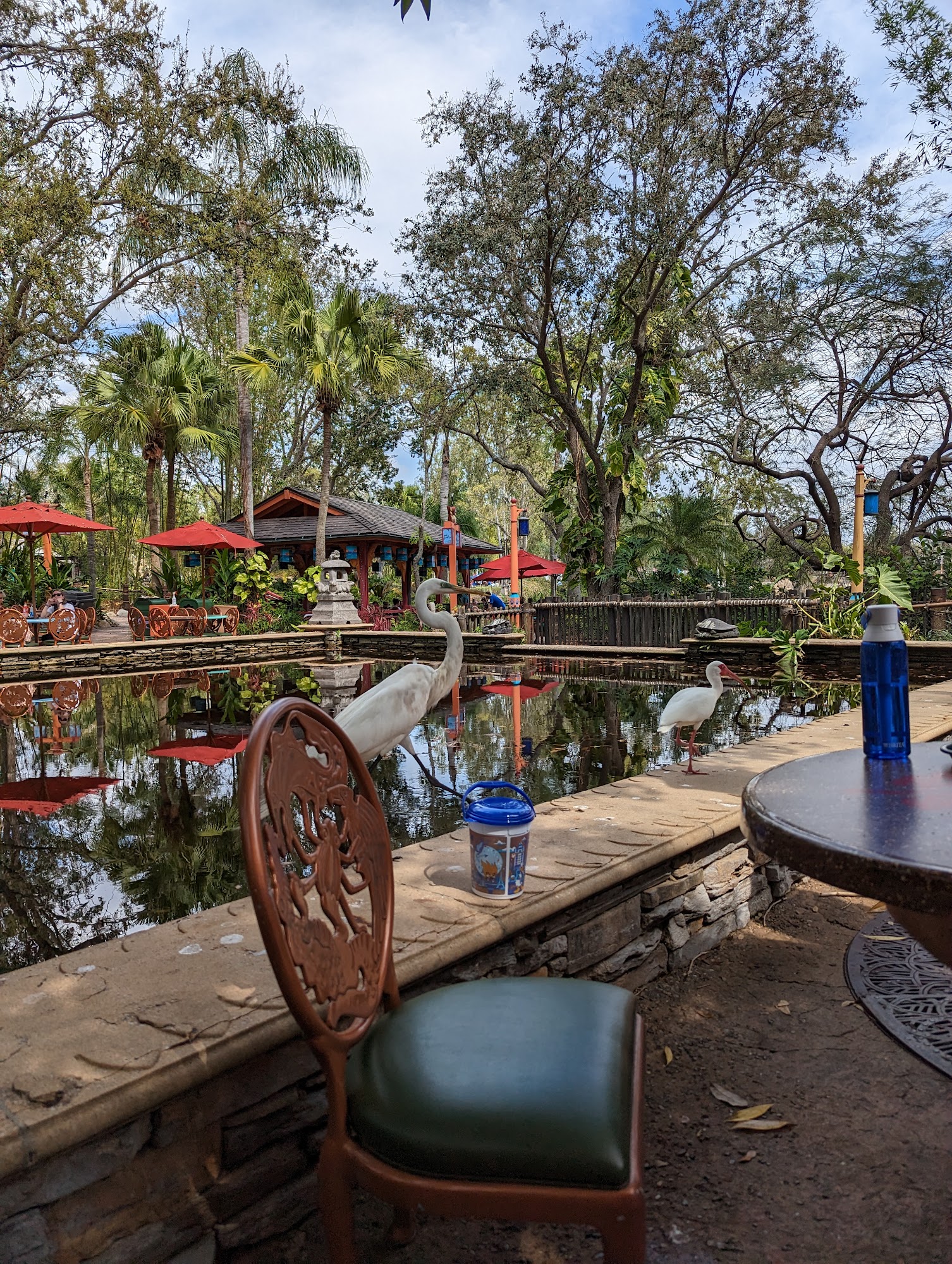 Flame Tree Barbecue