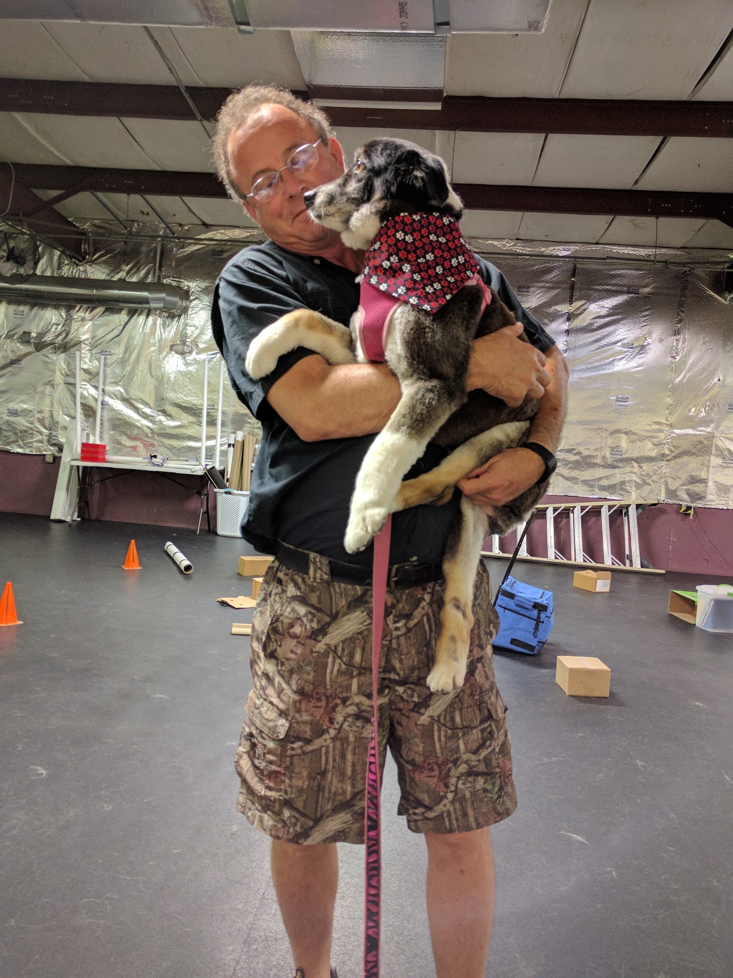 Das Hund Haus Inc. Lakeland