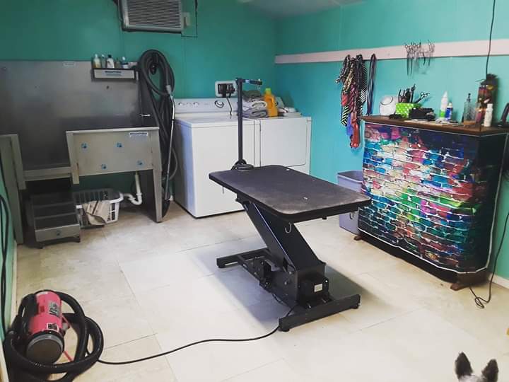 Nika's Pet Spaw & ReTreat Dog Grooming and Boarding Largo