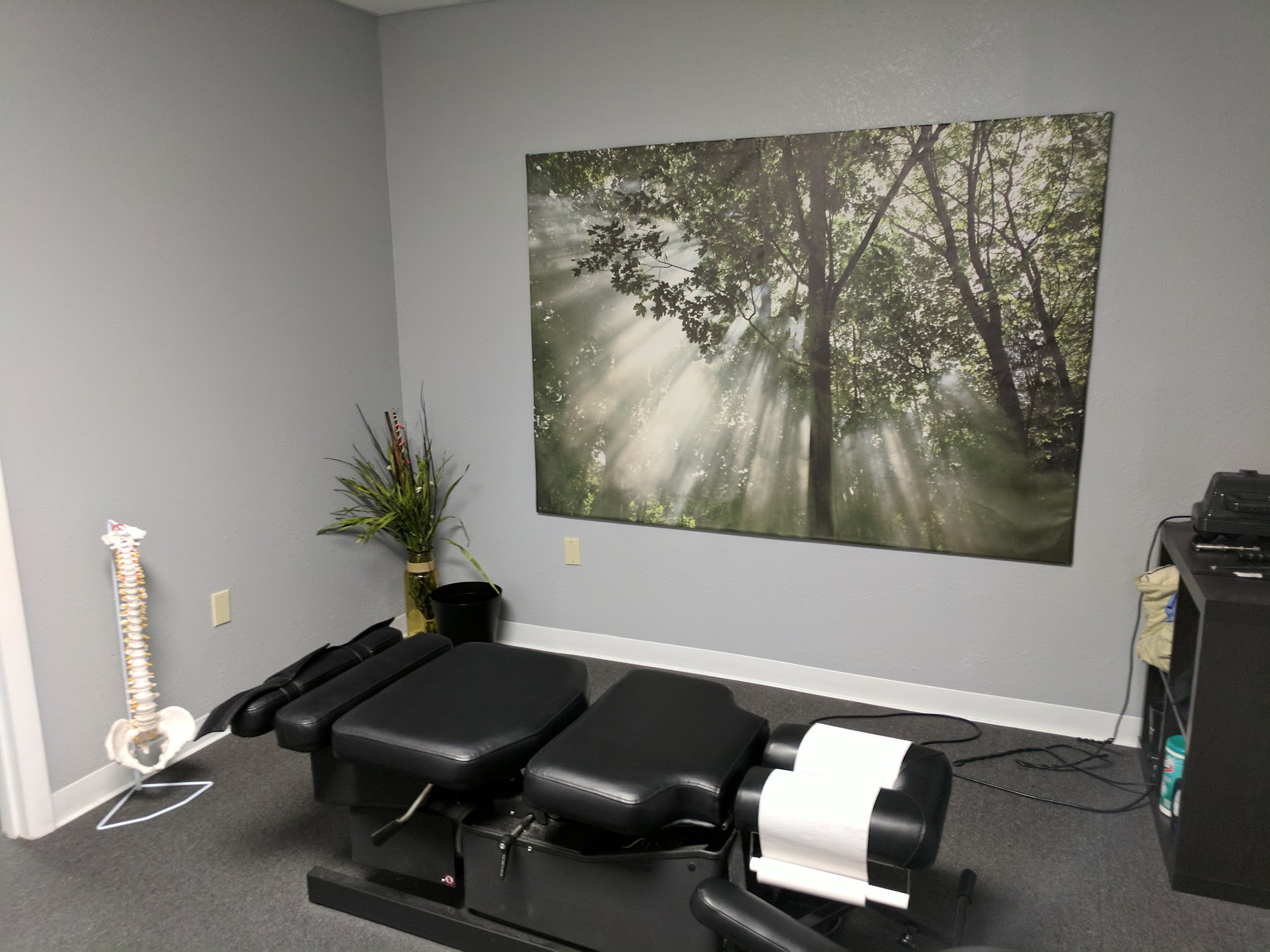 North Orlando Chiropractic