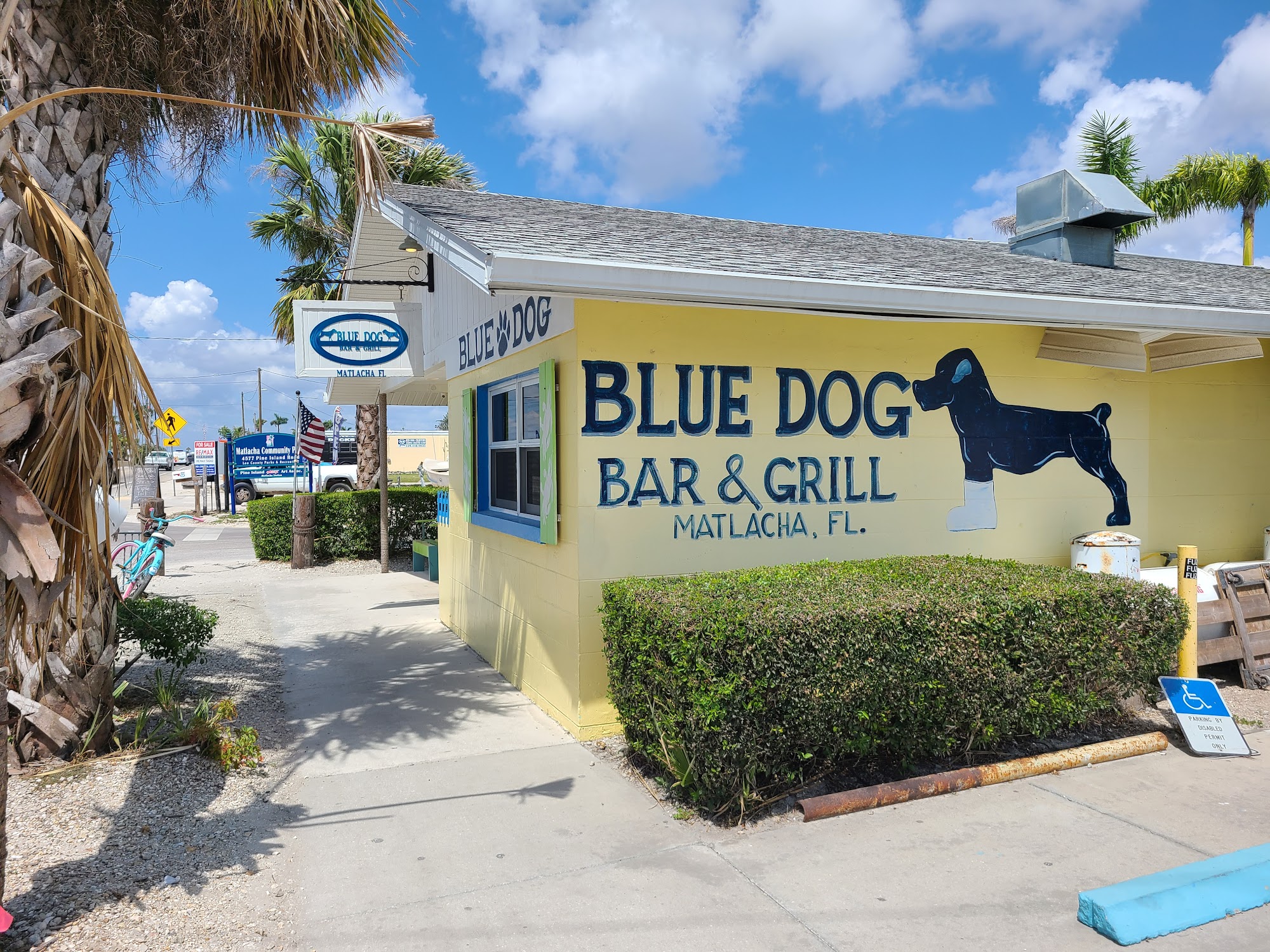 Blue Dog Bar & Grill