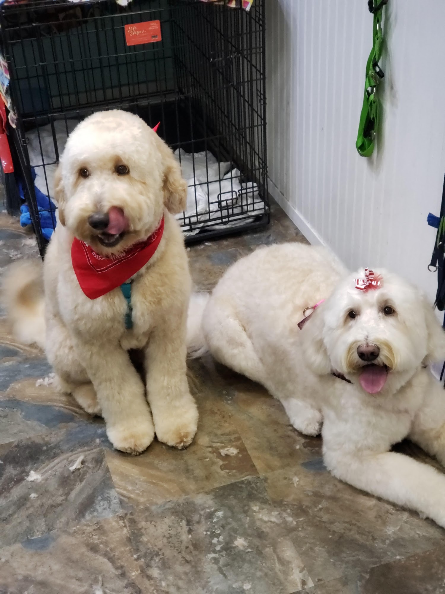 Get Your Groom On Melbourne Beach