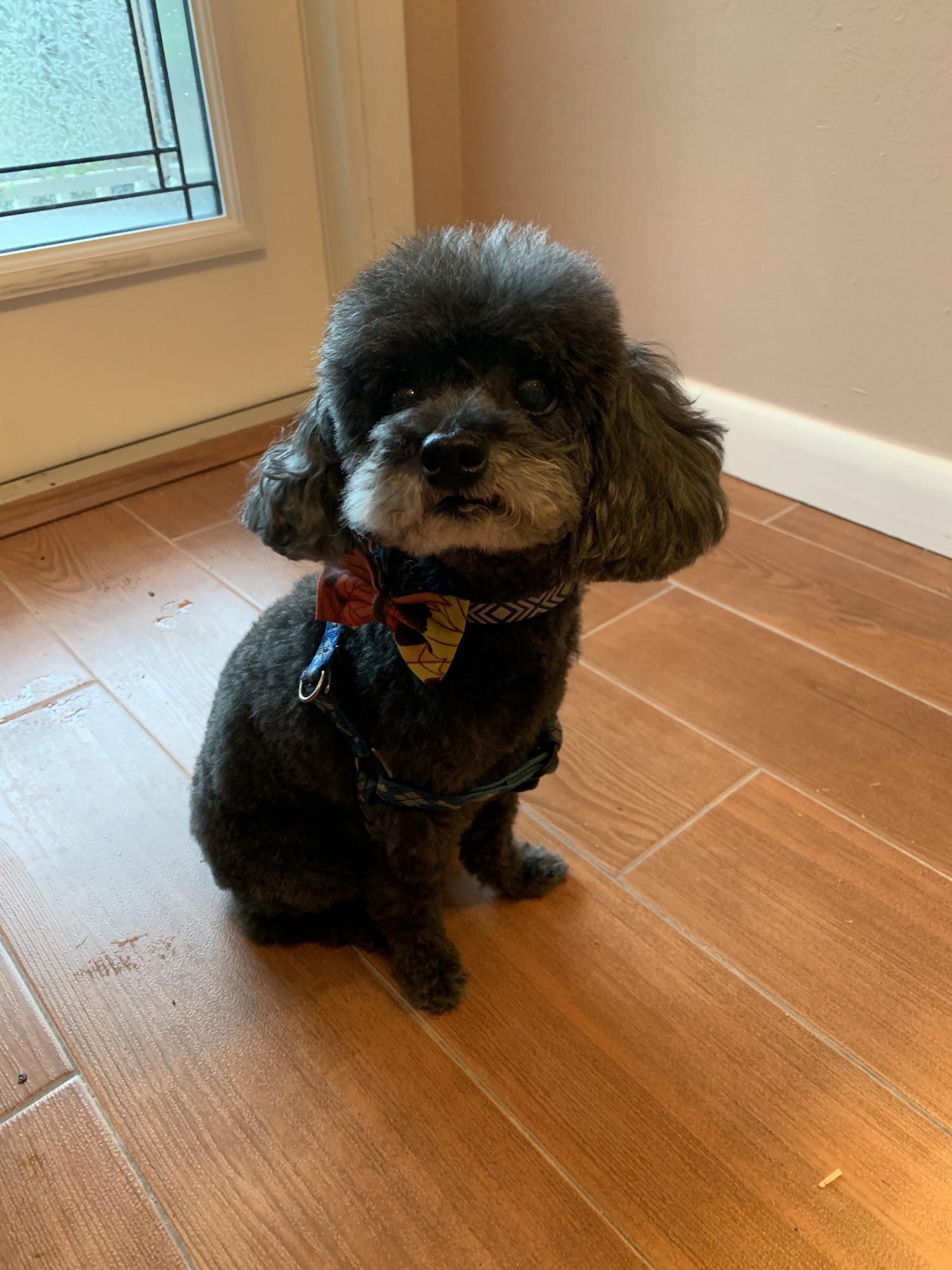 Clipper Cottage Melbourne