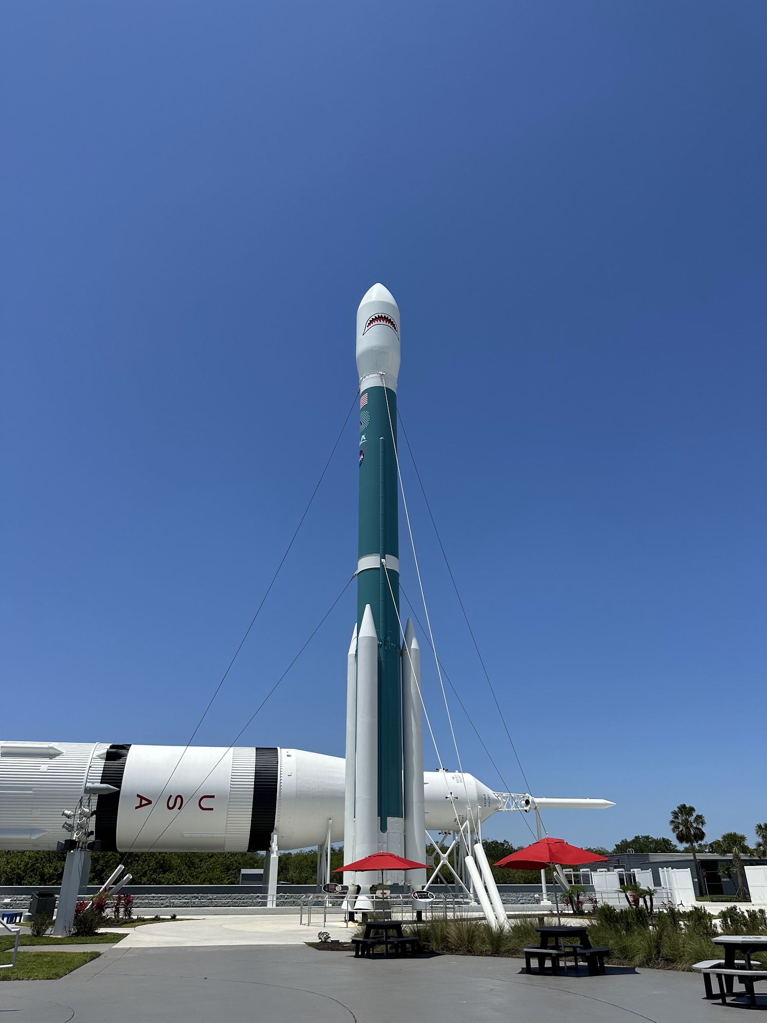 Rocket Garden