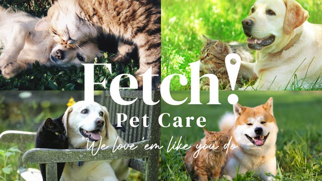 Fetch! Pet Care Merritt Island