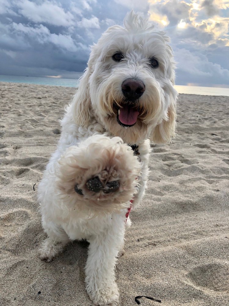 Photo credit: 
