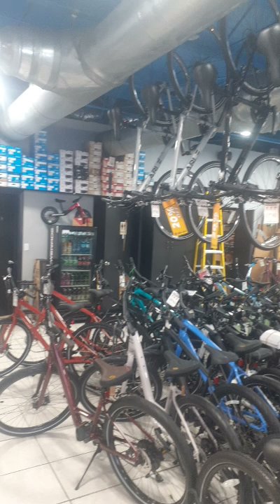 Coral Way Bike Shop