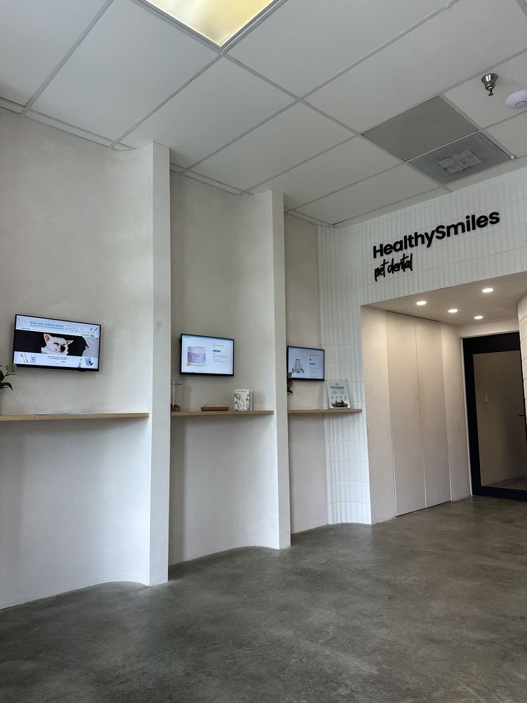 HealthySmiles Pet Dental Miami