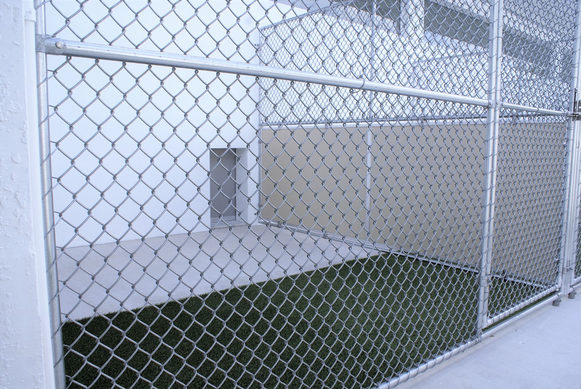 Somi Pet Resort Miami