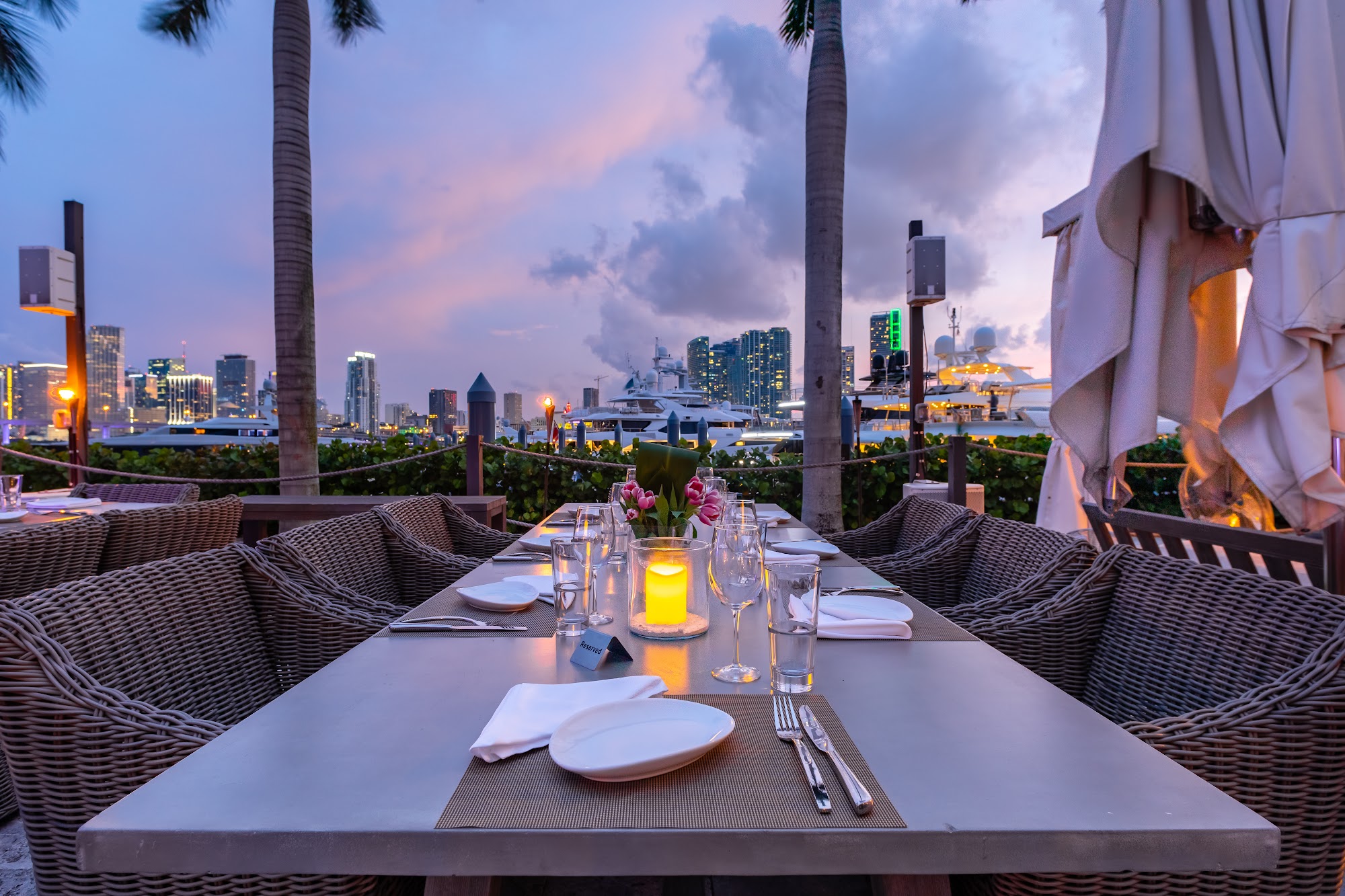 The Deck at Island Gardens