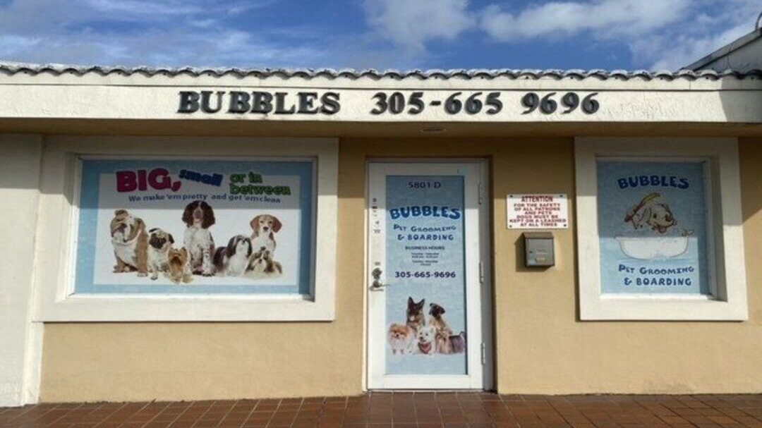 Bubbles Pet Grooming