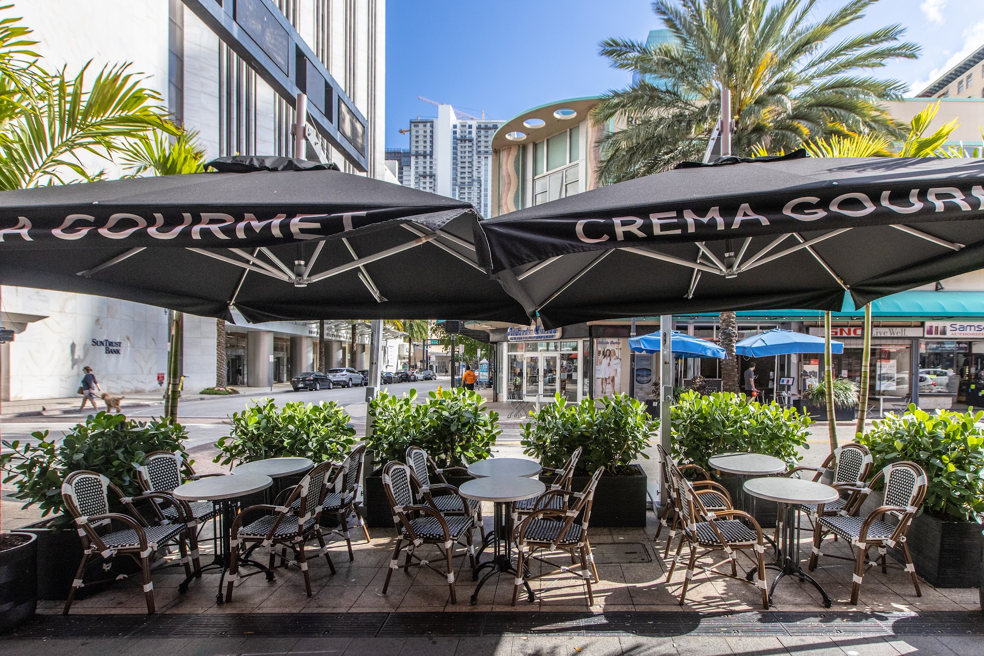 Crema Gourmet Espresso Bar