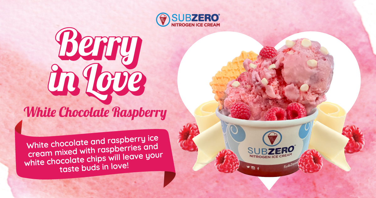 Sub Zero Ice Cream Menu