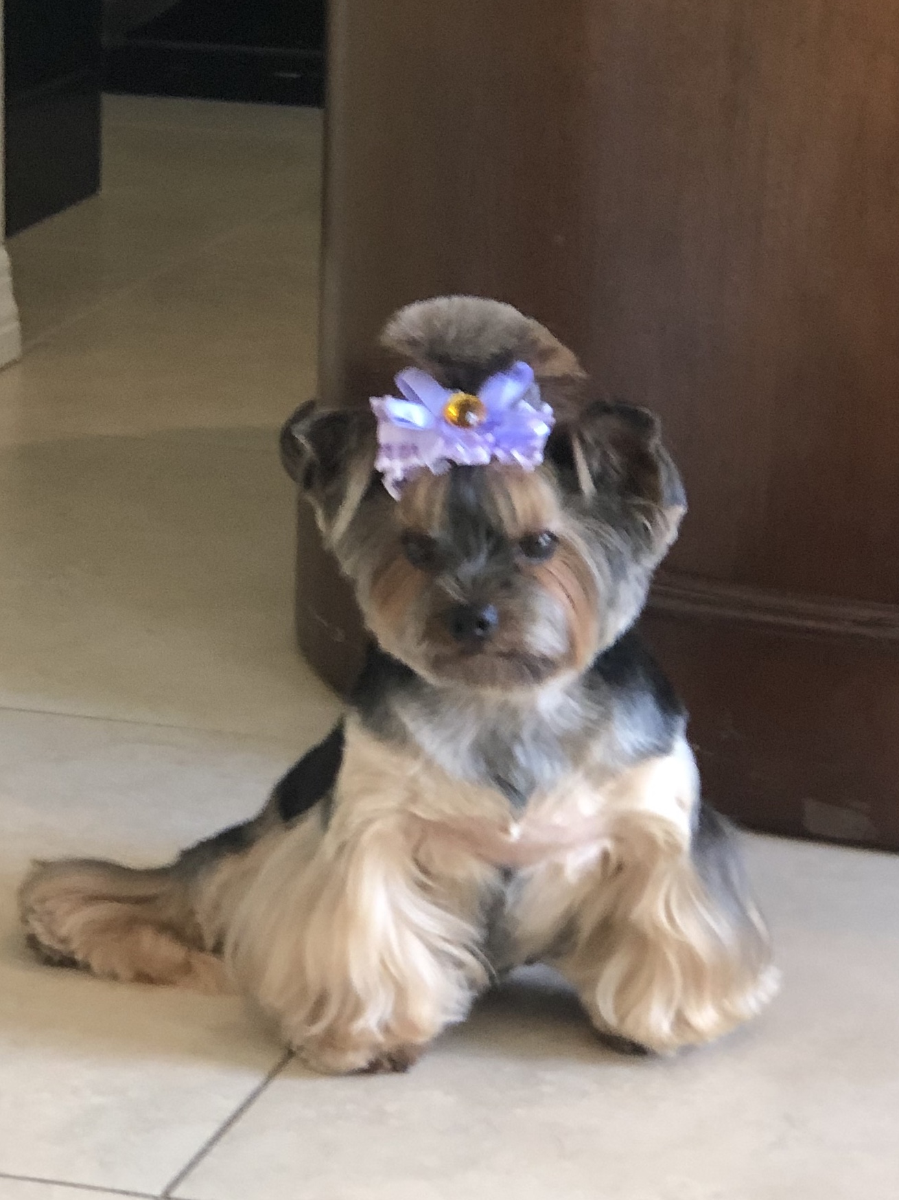 The Grooming Table Naples