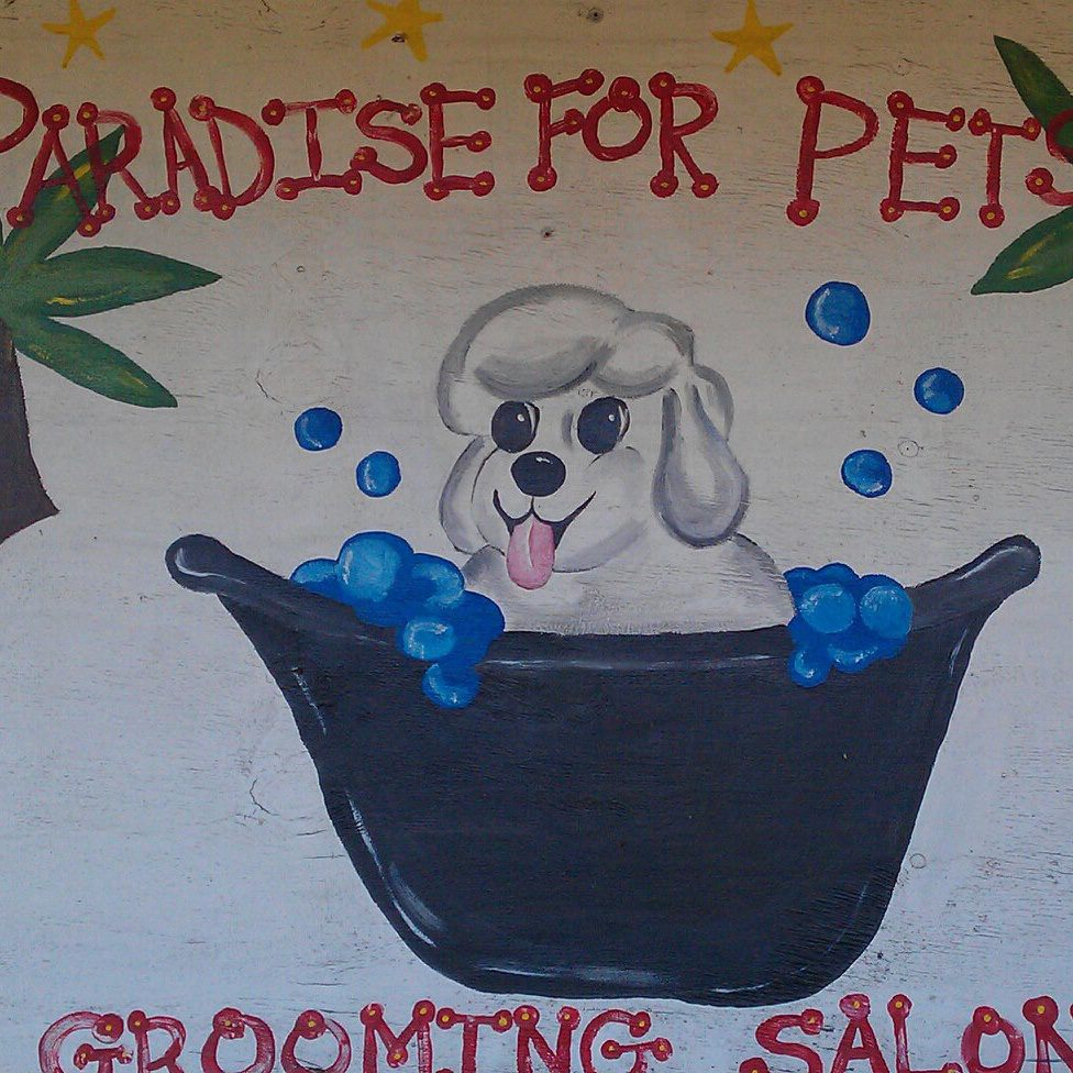 A Paradise For Pets Groom Sln