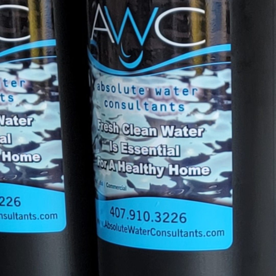 Four Corners Pet Grooming Orlando