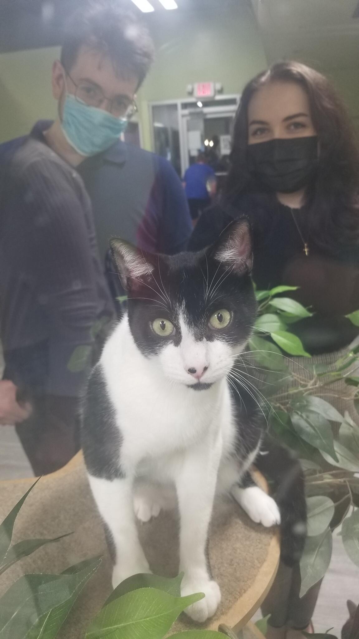 Photo credit: nextdoor