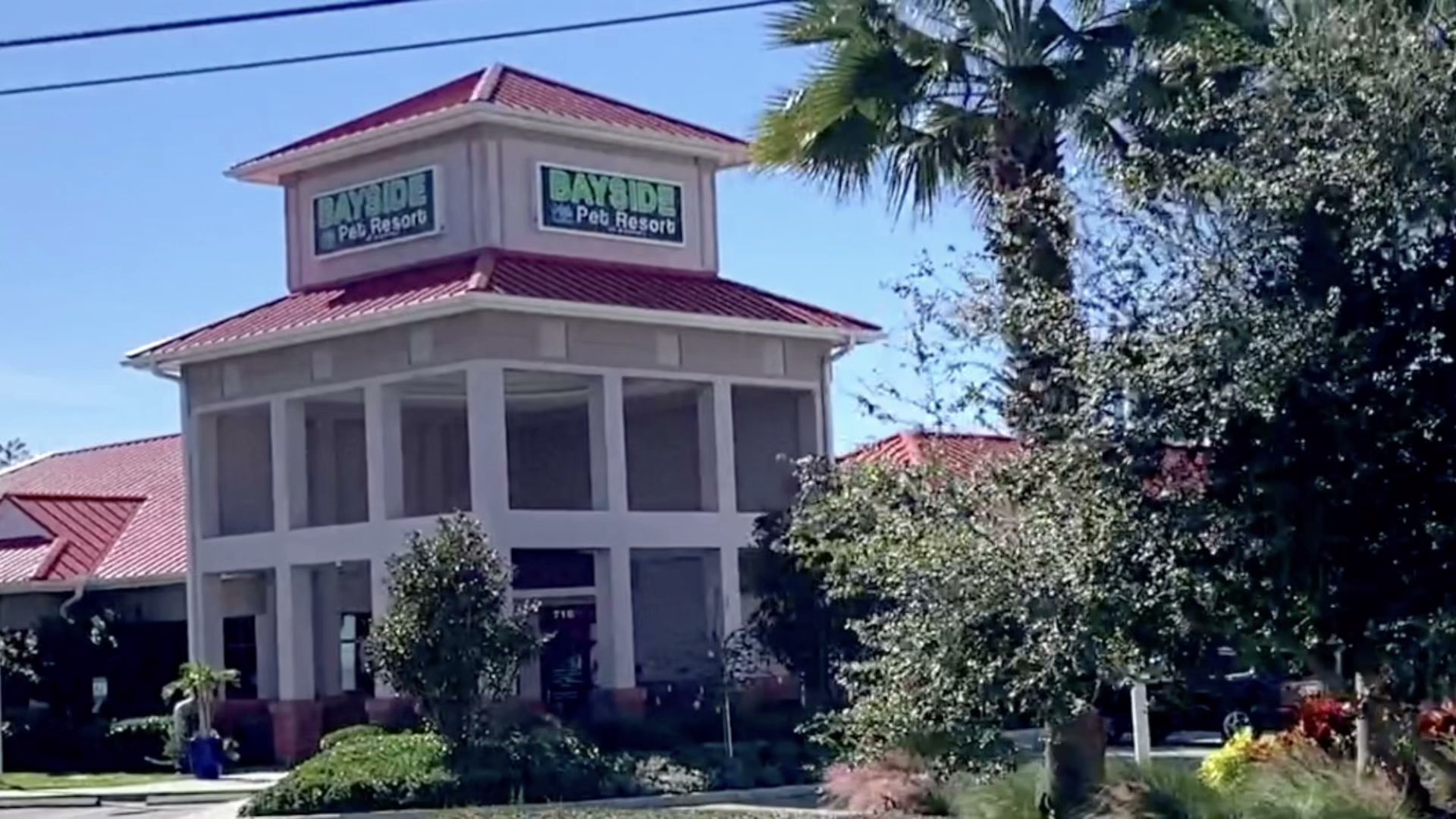 Bayside Pet Resort of Osprey Osprey