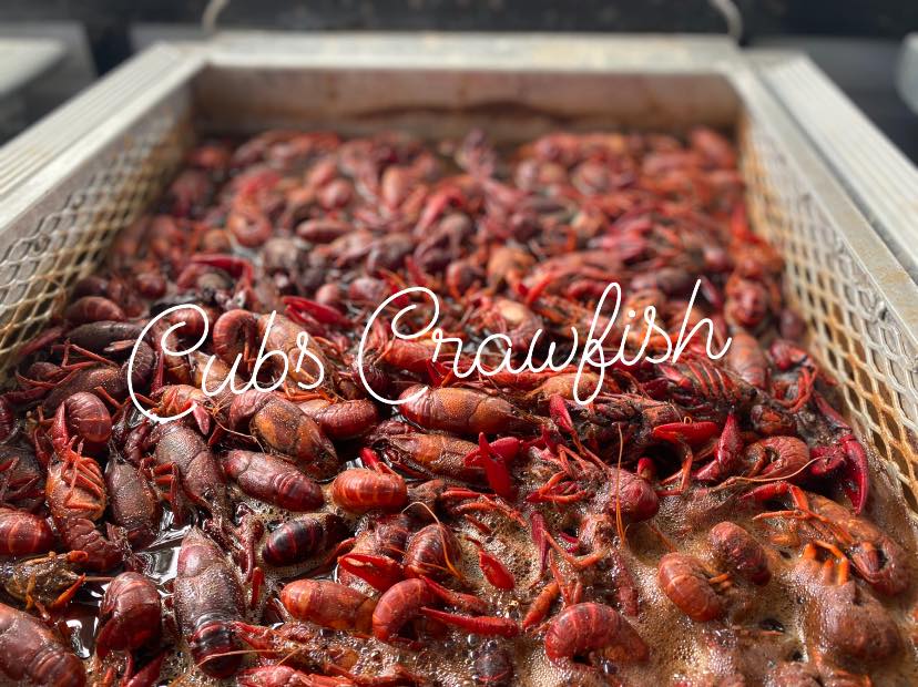 Cub's Crawfish