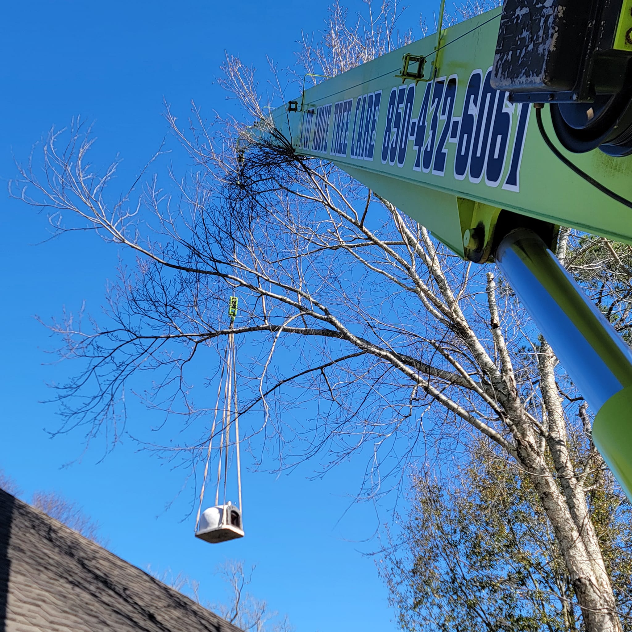 A Cut Above Tree Care