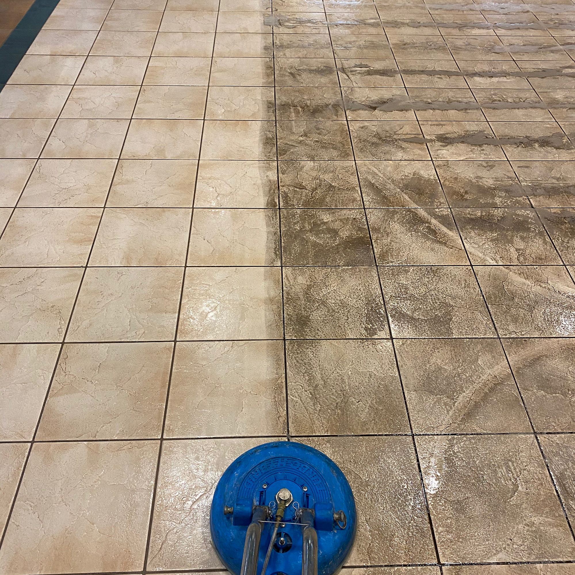 Accutech Carpet and Tile Cleaning