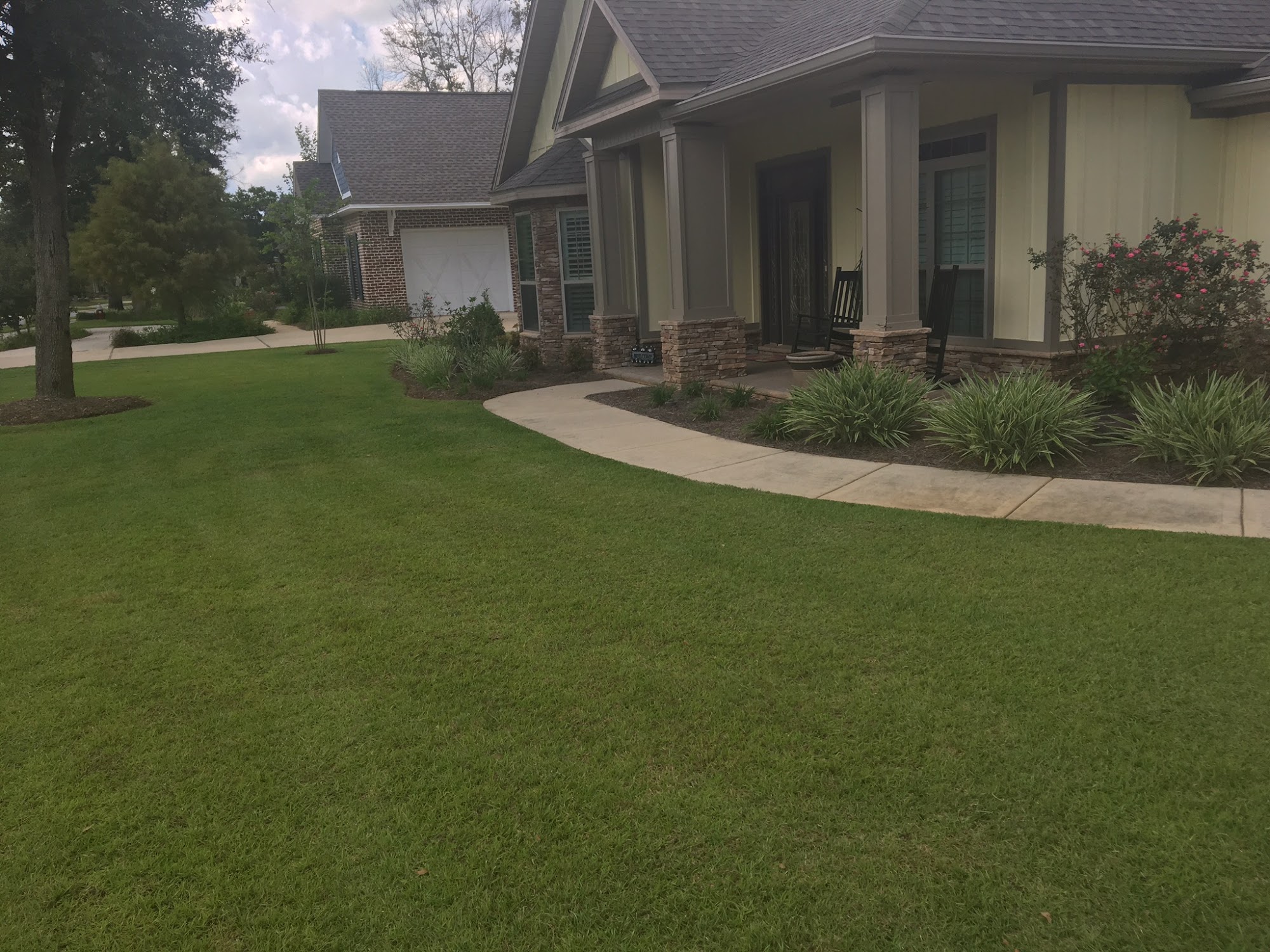 Willow Landscaping & Lawn Services