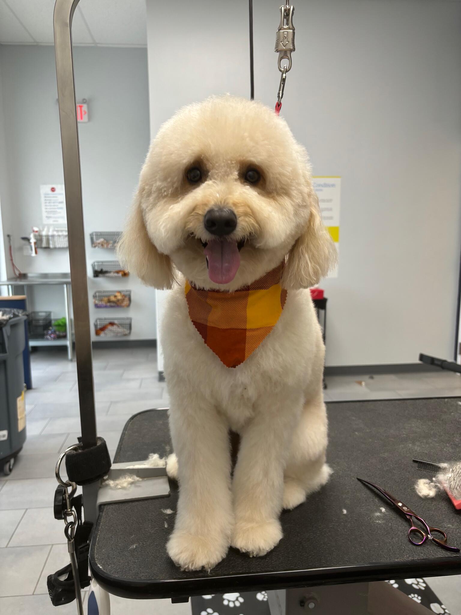 Photo credit: nextdoor