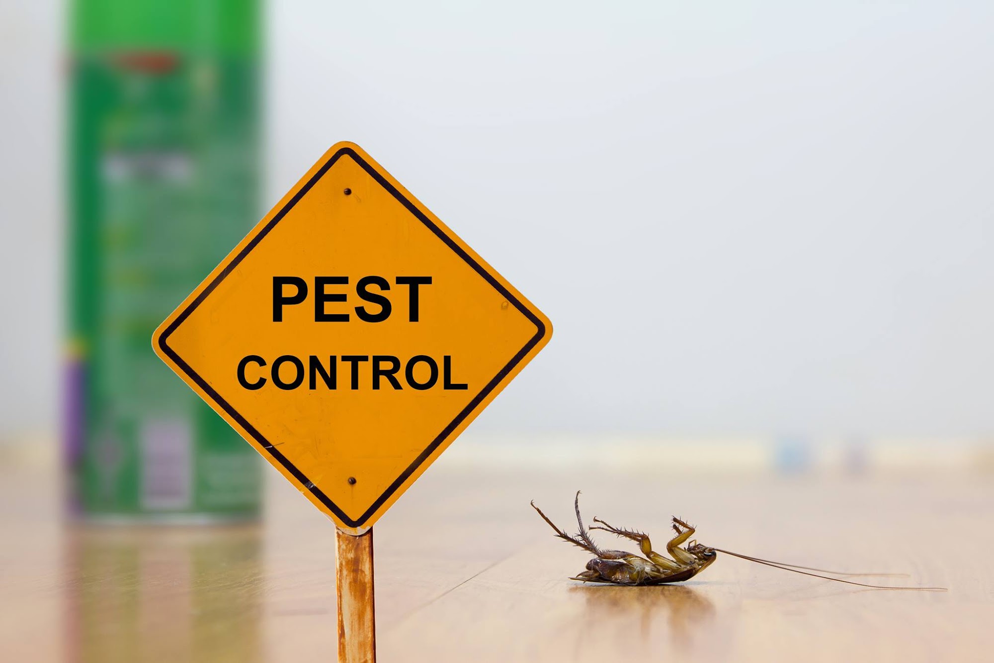 Home Protection Pest Control