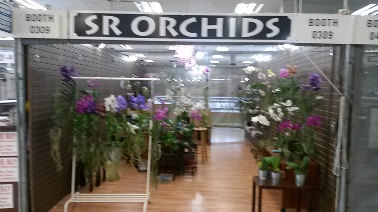 SR Orchids
