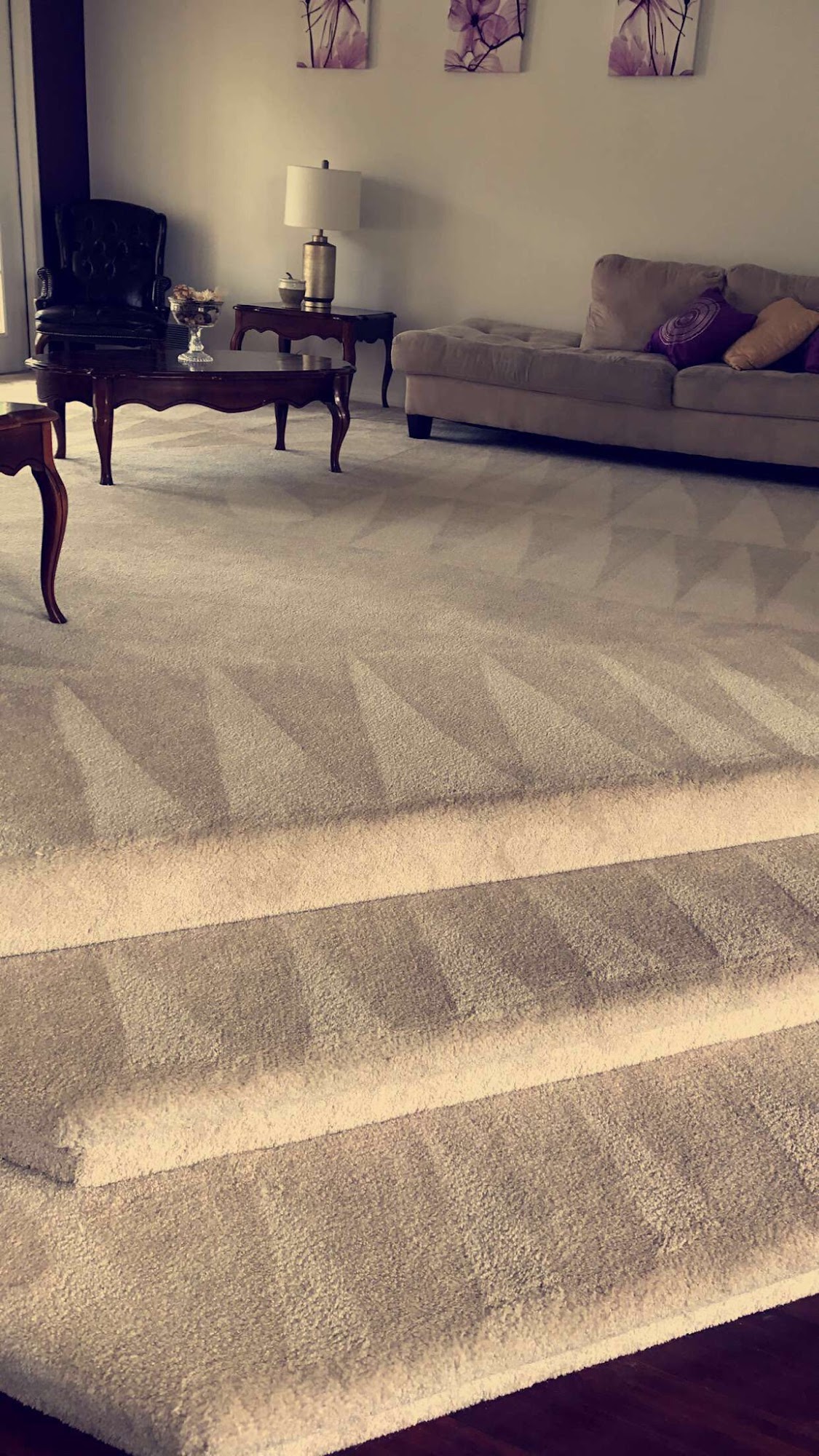 Suncoast Carpet & Tile Cleaning