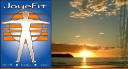 Joyefit Institute LLC