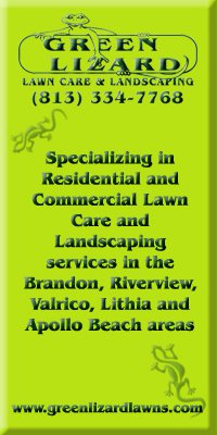 Green Lizard Lawn Care, LLC