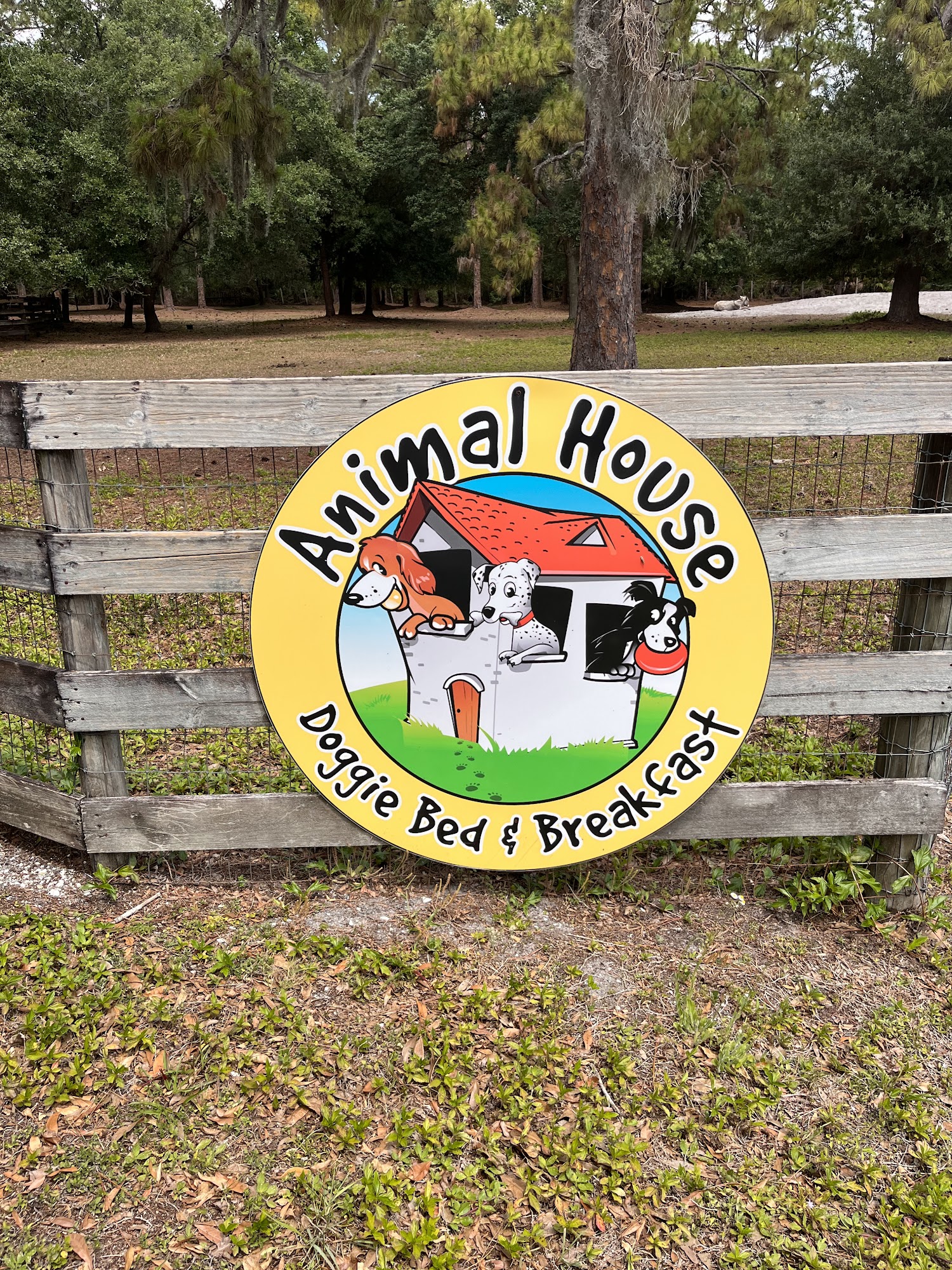 Animal House Doggie Bed & Breakfast Sarasota