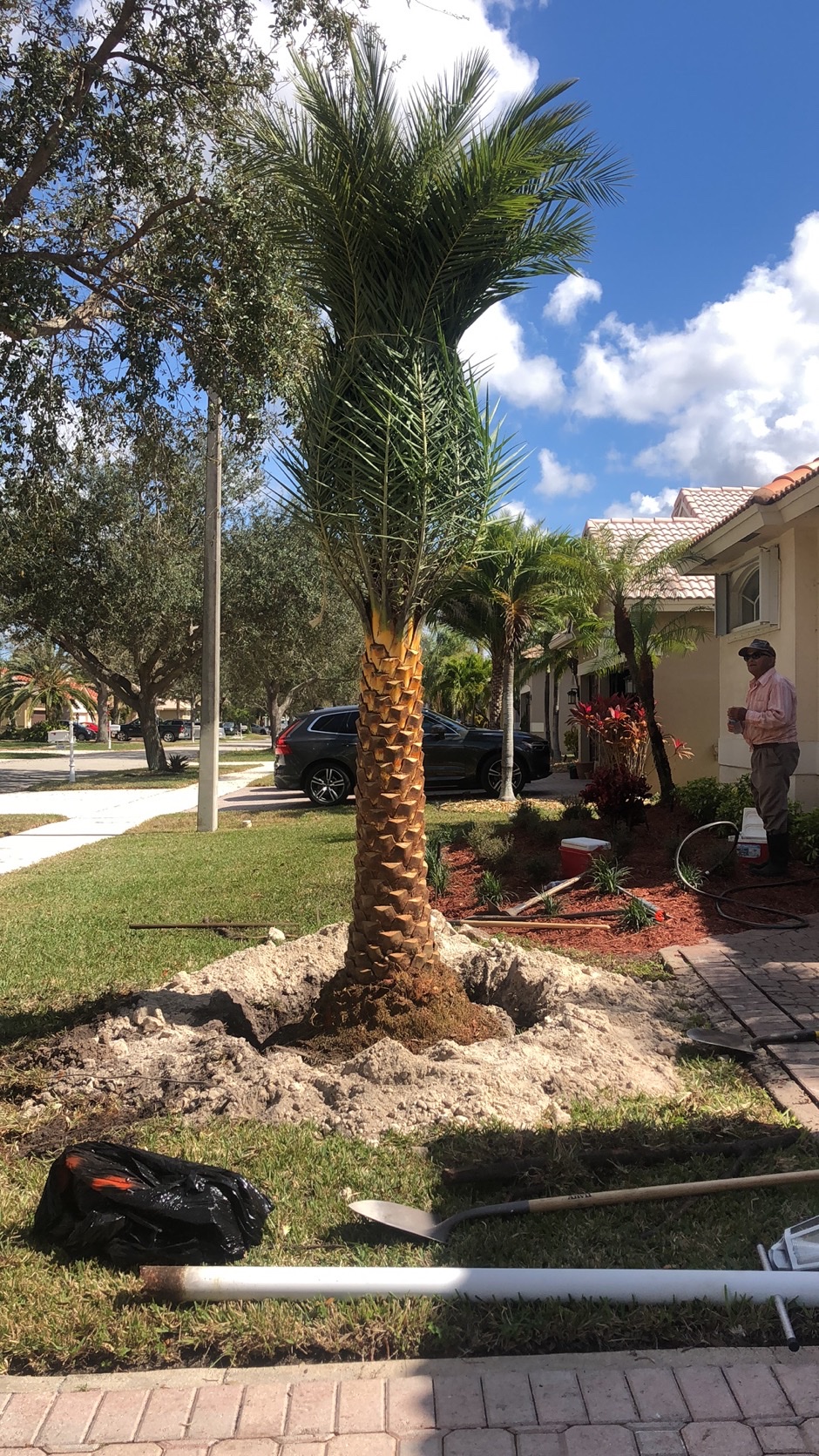 GRIFFIN ROAD NURSERY & LANDSCAPING, LLC. 4501 SW 133rd Avenue, Southwest Ranches Florida 33330